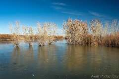 64: Bosque_2018-64