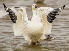 248: bosque_2024-23