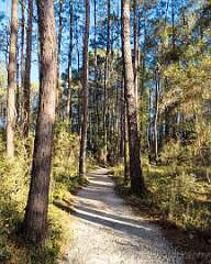 6: 03-29 Kerrigan Trail At HBSP