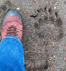 68: Alaska_2026-201