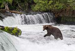 18: Alaska_2026-36