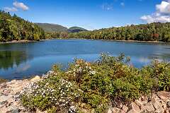 40: NewEngland_2026-24