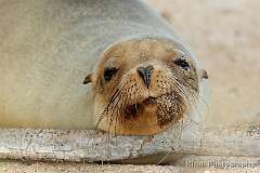 2: galapagos_01